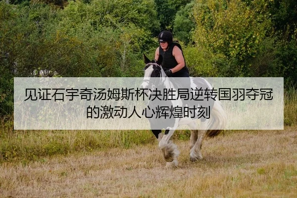 见证石宇奇汤姆斯杯决胜局逆转国羽夺冠的激动人心辉煌时刻